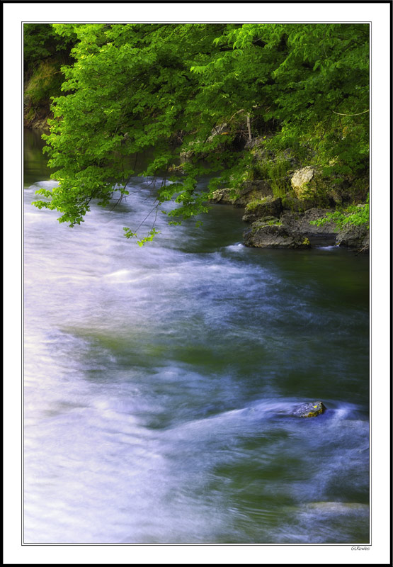 Rushing Shoals