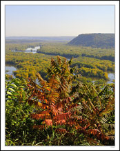 Mississippi Fall Vista IV