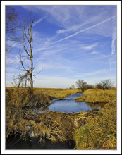 Sky Whisked Beaver Dam