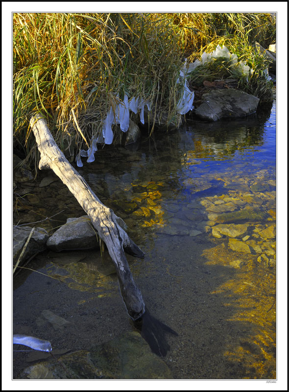 Winter's Touch