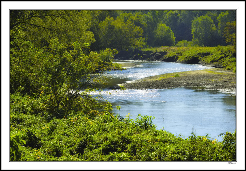 Meandering Stream