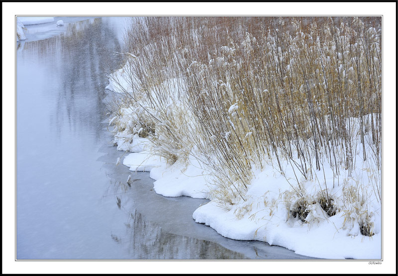 Snowbrush Creek